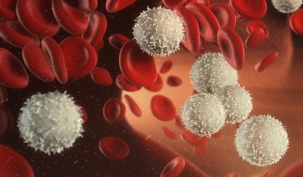 Ανεβασμένα λευκά αιμοσφαίρια: Τι μπορεί να δείχνουν για την υγεία σας!