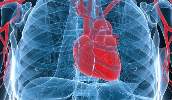 Καρδιακή ανεπάρκεια: Τι είχε ο Λουκιανός Κηλαηδόνης – Τα πρώιμα συμπτώματα