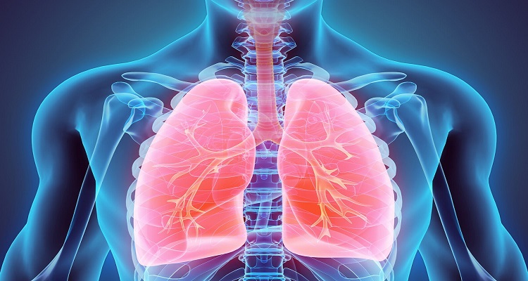 Πνεύμονες: Ποιοι παράγοντες τους γερνάνε πιο γρήγορα