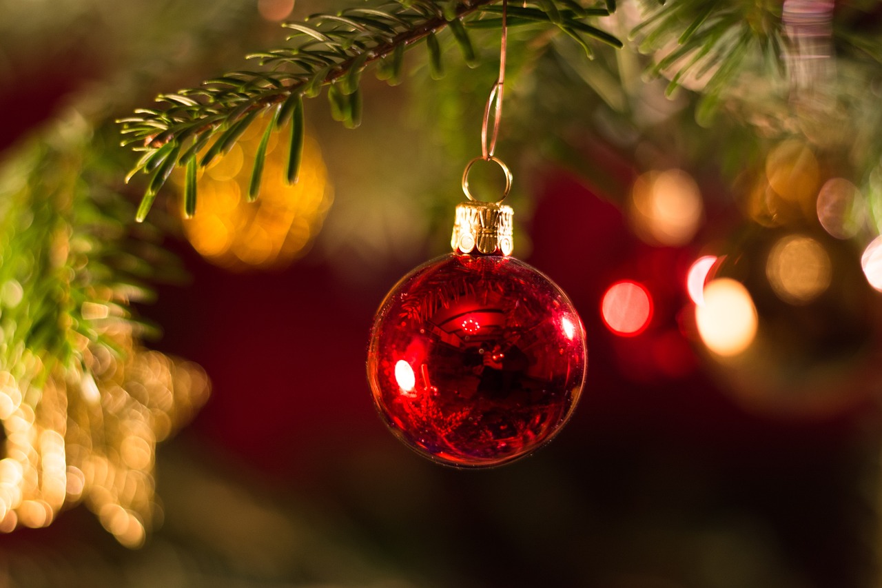 Σπύρος Σούλης: Μας δείχνει πώς να στολίσετε το τέλειο Χριστουγεννιάτικο δέντρο
