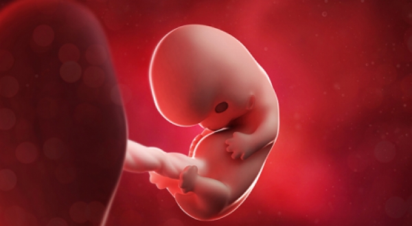 Εγκυμοσύνη: Τι συμβαίνει στην 8η εβδομάδα της κύησης