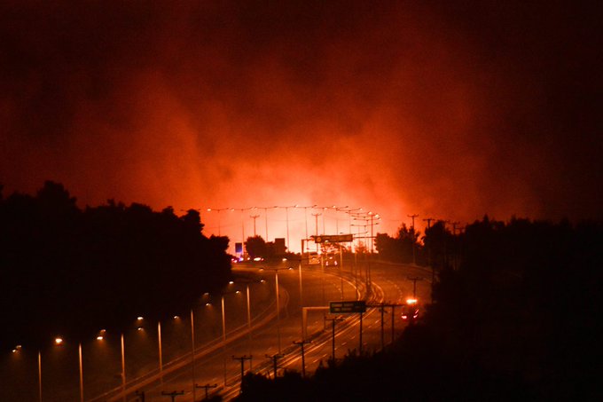 Φωτιές: Δεν καίγονται απλώς δέντρα, χάνεται η ζωή - Οι σοβαρές επιπτώσεις στον πλανήτη