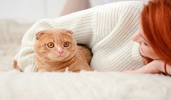 Νέα έρευνα: Οι γάτες μολύνονται από κορονοϊό, είναι ασυμπτωματικές και τον μεταδίδουν σε άλλες γάτες