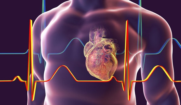 Ηλικία καρδιάς: Κάντε ΕΔΩ το online τεστ υπολογισμού