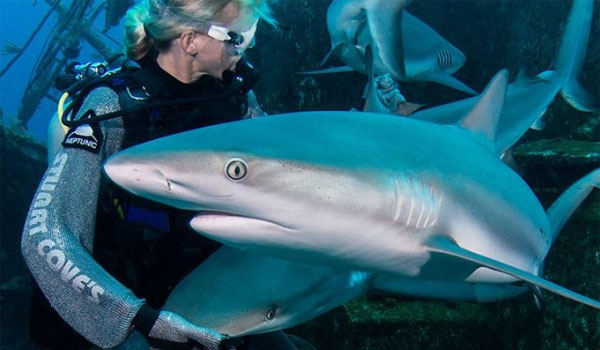 Πάρκινσον: Μεγάλες ελπίδες από ουσία που έχουν οι καρχαρίες