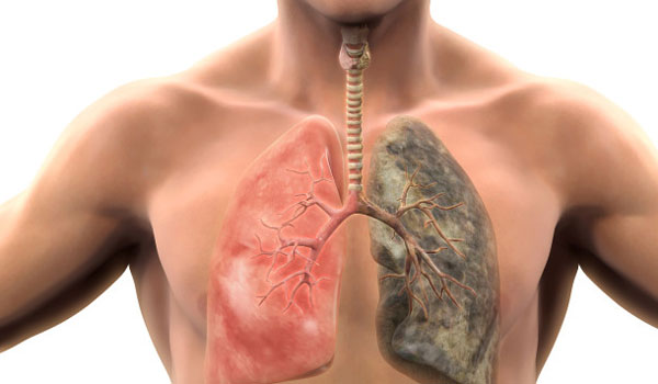 Αυτές οι  τροφές καθαρίζουν τους πνεύμονες από τη νικοτίνη