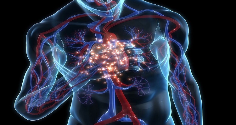 Θρόμβωση: Για ποιες αιτίες καρδιαγγειακού θανάτου ευθύνεται