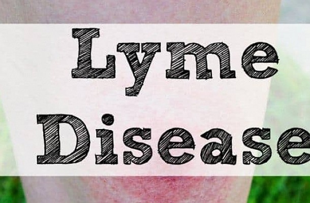 Τι είναι η νόσος Lyme: Τα ύποπτα συμπτώματα - Πώς αντιμετωπίζεται