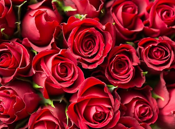 Valentine’s Day: Ιδεές για δώρα για τους αγαπημένους σας