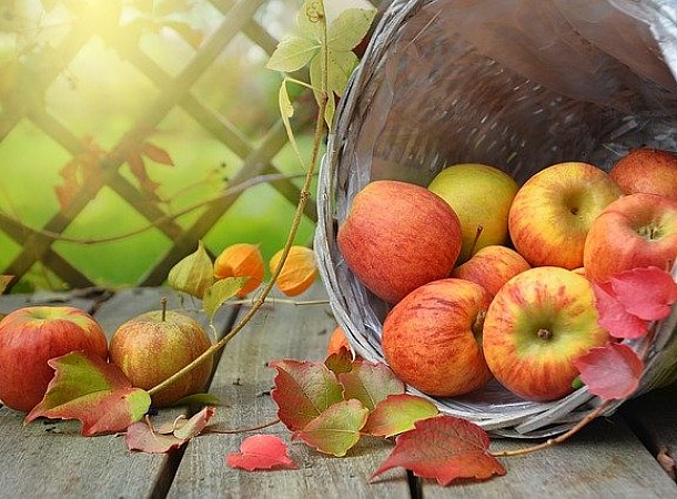 Μήλα: Το μυστικό για να παραμείνουν φρέσκα και τραγανά