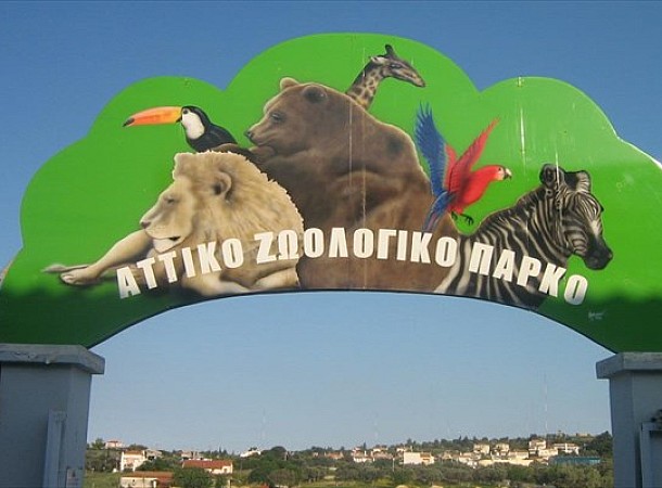 Αττικό Ζωολογικό Πάρκο: Άνοιξε για τους επισκέπτες - Μόνο με ηλεκτρονικό εισιτήριο και κατόπιν ραντεβού