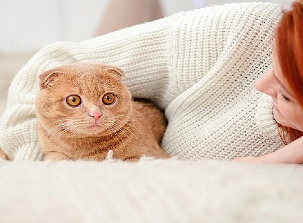 Γιατί οι γάτες συμπεριφέρονται περίεργα στην πανσέληνο;