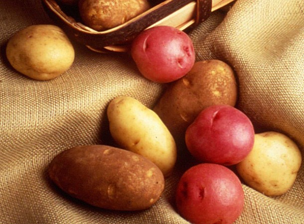 Μην αποθηκεύετε ποτέ τις πατάτες δίπλα σε μήλα - Δείτε το λόγο