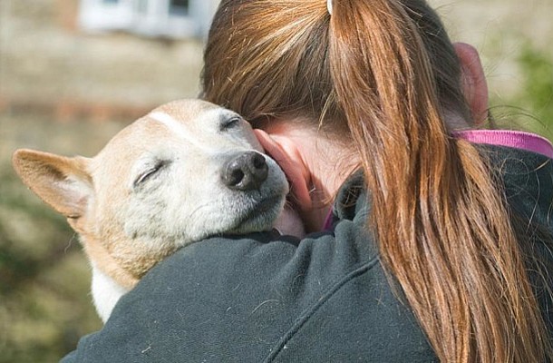 Χλωρέλλα: Το φυσικό αποτοξινωτικό που ωφελεί τον σκύλο